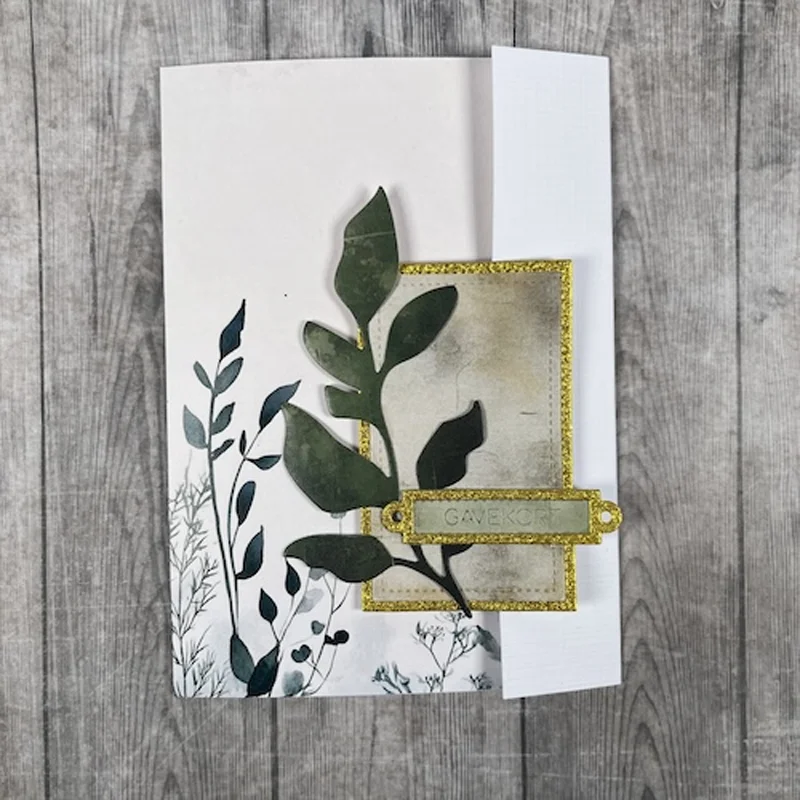 Cash Gift Congratulations Name - Baby Food Diary 评论和价格
