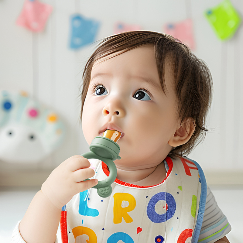 Baby Pacifier Fruit Feeder Wit - Baby Food Ideas 评论和价格